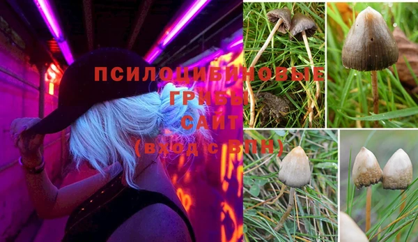 мет Балахна